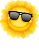 Card Group